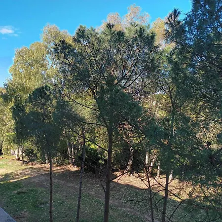 Dietro Molentargius Cagliari