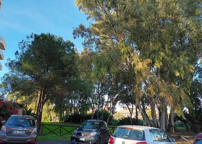 Dietro Molentargius Cagliari